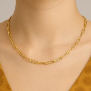 Paper Clip Necklace